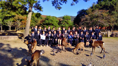 WIN_20251106_15_02_15_Scan