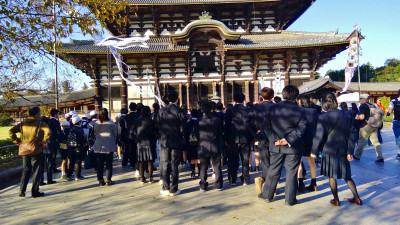 WIN_20251106_15_14_59_Scan