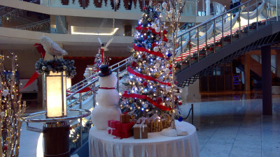 WIN_20251108_07_12_13_Pro