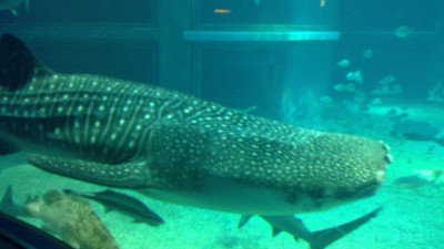 WIN_20251108_09_44_13_Pro